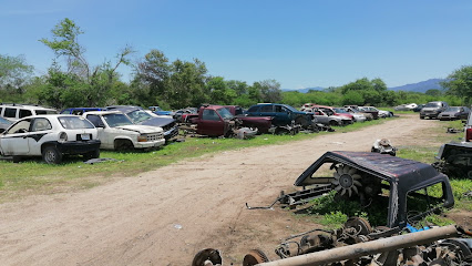 Dirección, horario, teléfono y opiniones de Yonke García en Puerto Vallarta