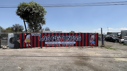 Dirección, horario, teléfono y opiniones de Yonke Las Petunias en Corregidora