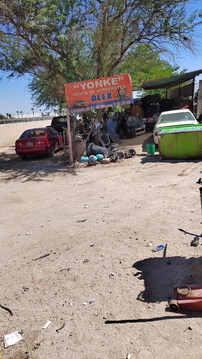 Dirección, horario, teléfono y opiniones de Yonkee Alex en Mexicali