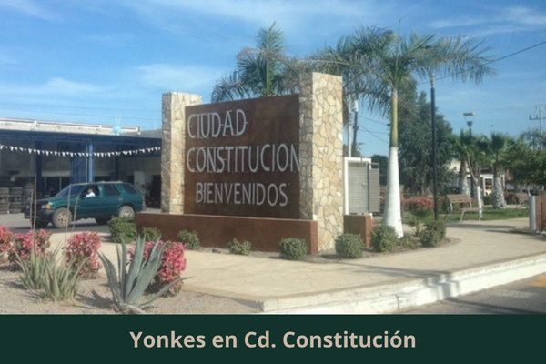 Yonkes Abiertos Cerca De Mi