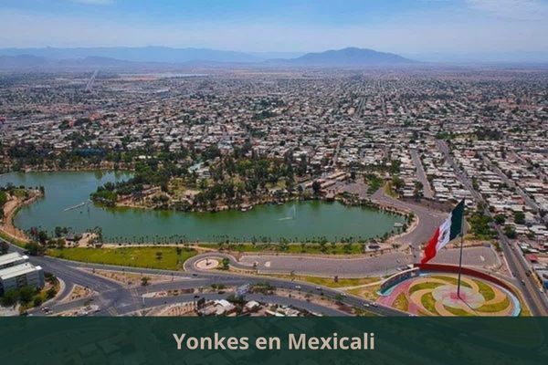 Yonke Ms Cercano De Mi