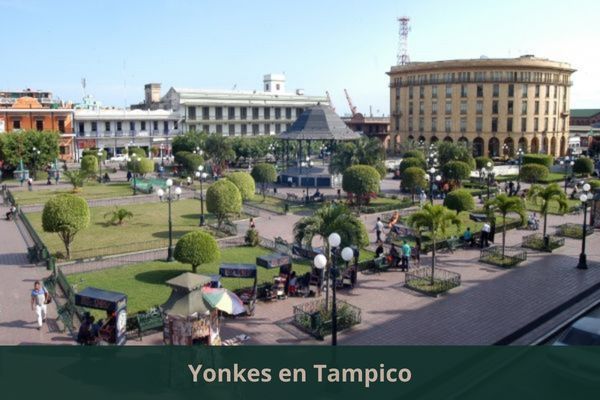 Yonke Mas Cerca De Mi