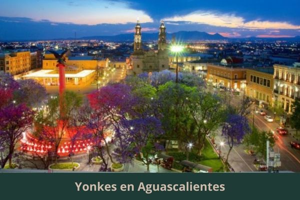 Existe algún yonke cerca de mi ubicación actual ➜ Yonkes en Aguascalientes Aguascalientes