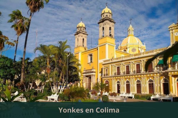 Existe algún yonke cerca de mi ubicación actual ➜ Yonkes en Colima Colima