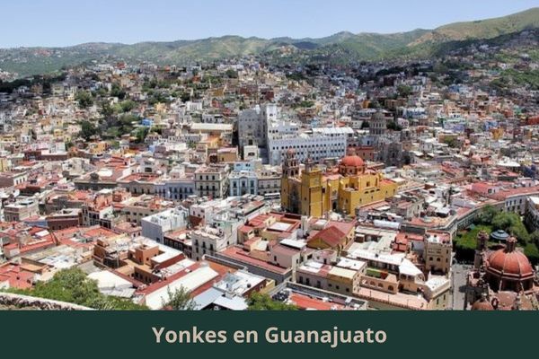 Existe algún yonke cerca de mi ubicación actual ➜ Yonkes en Guanajuato Guanajuato