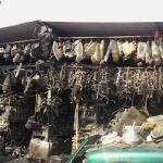 Dirección, horario, teléfono y opiniones de Autopartes Guzmán en Tecomán