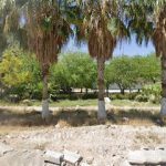 Dirección, horario, teléfono y opiniones de Elite en Gómez Palacio
