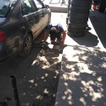 Dirección, horario, teléfono y opiniones de Marmolejo Revolución Refaccionaria en Torreón