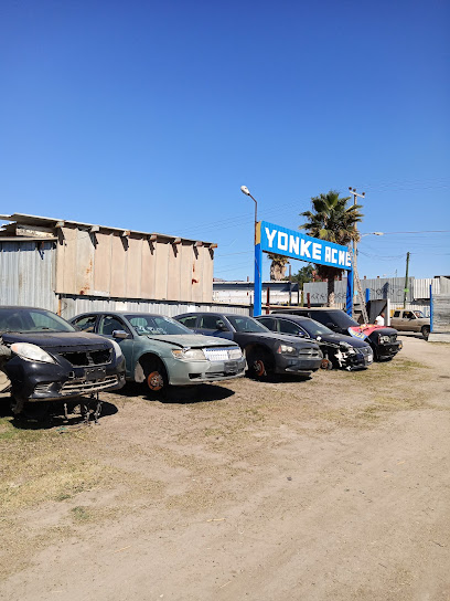 Dirección, horario, teléfono y opiniones de Yonke Acme en Tijuana