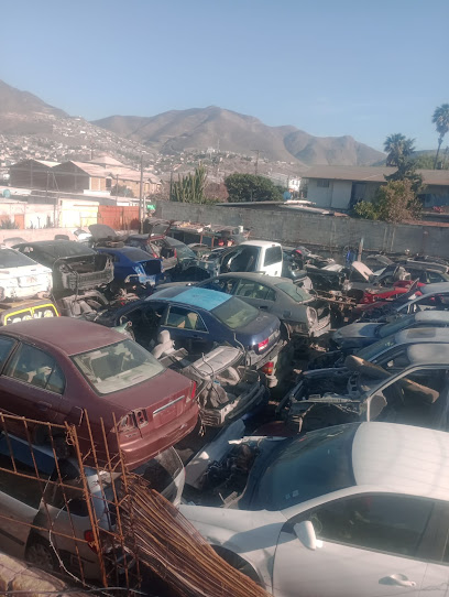 Dirección, horario, teléfono y opiniones de Yonke El Ejido en Tijuana