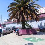 Dirección, horario, teléfono y opiniones de Autoeléctrica Ixcotel en Oaxaca de Juárez