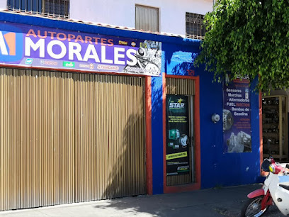 Dirección, horario, teléfono y opiniones de Autopartes Eléctricas Aemsa en Zamora