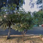 Dirección, horario, teléfono y opiniones de Autopartes Eléctricas Lalo en Zamora