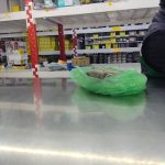 Dirección, horario, teléfono y opiniones de Mayasa - Centro de Distribucion Morelia en Morelia