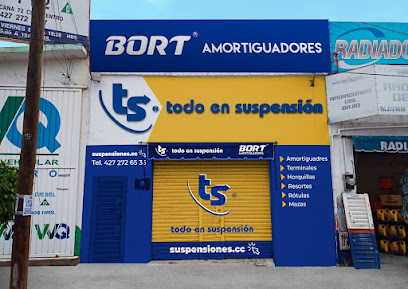 Dirección, horario, teléfono y opiniones de Todo En Suspensión - Panamericana Sjr en San Juan del Río