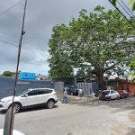 Dirección, horario, teléfono y opiniones de Auto Partes La Ceiba en Tampico