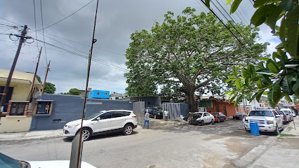 Dirección, horario, teléfono y opiniones de Auto Partes La Ceiba en Tampico